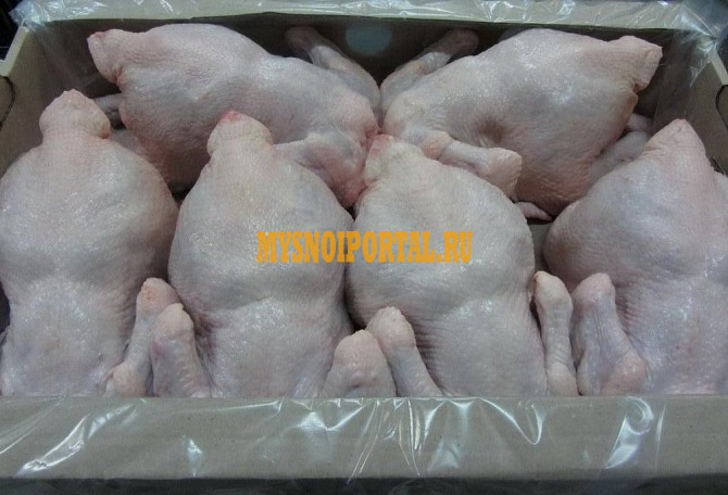 Курицы бройлер домашние, оптом Бишкек - изображение 1
