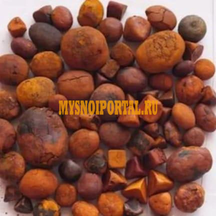 КУПЛЮ Говяжий жeлчный кaмень КРС Новороссийск - изображение 1