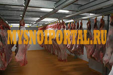 Камеры шоковой заморозки Санкт-Петербург - изображение 1