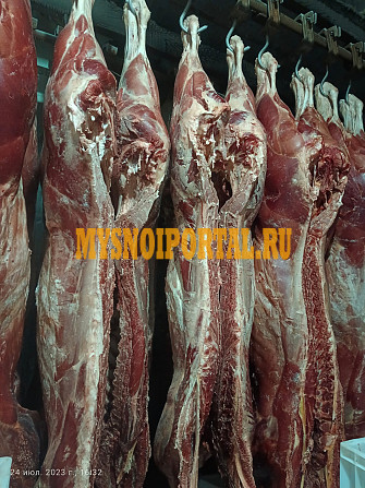 Полутуши Говяжьи Сибирское мясо, ГОСТ, зам, 340 руб. в Новосибирске Новосибирск - изображение 1