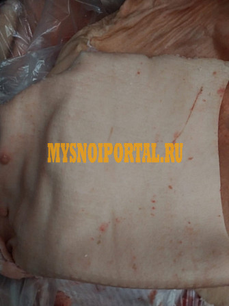 Шкура свиная 15т Красноярск - изображение 1