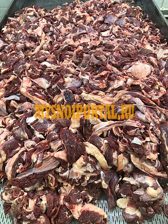 Продам говядину 2 сорт 80/20 в Курске Курск - изображение 1