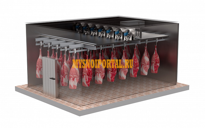 Дефростер (камера дефростации) для разморозки мяса, рыбы Подольск - изображение 1