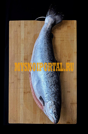 Лосось охлажденный Санкт-Петербург - изображение 1