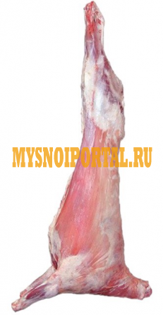 Баранина в тушках Москва - изображение 1