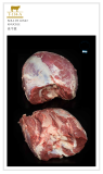 Оковалок говяжий без кости / BEEF KNUCKLE доставка из г.Буэнос-Айрес