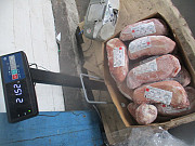 Глазной мускул ГВ зам Санкт-Петербург