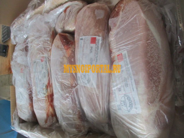 Глазной мускул ГВ зам Санкт-Петербург - изображение 1