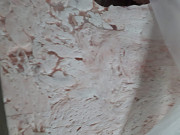 Продаю Жир Свиной брыжеечный РФ, зам, от 1 тонны, оптом  в Москве  доставка из г.Москва