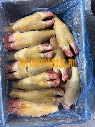 Продаю говяжьи ноги Астана - изображение 1