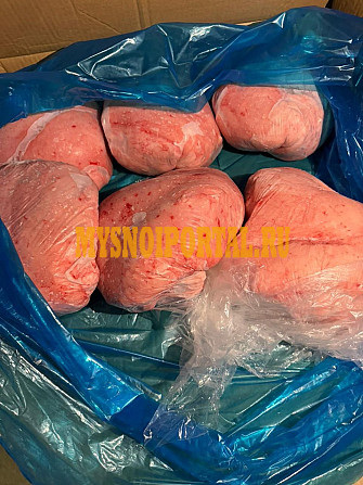 Продаю опт мясо баранины и курдюк Астана - изображение 1