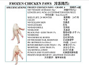 Ноги куриные зам, SADIA оптом Варзее-Гранде  доставка из г.Варзеа-Гранде