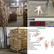 Ноги куриные зам, SADIA оптом Варзее-Гранде  доставка из г.Варзеа-Гранде