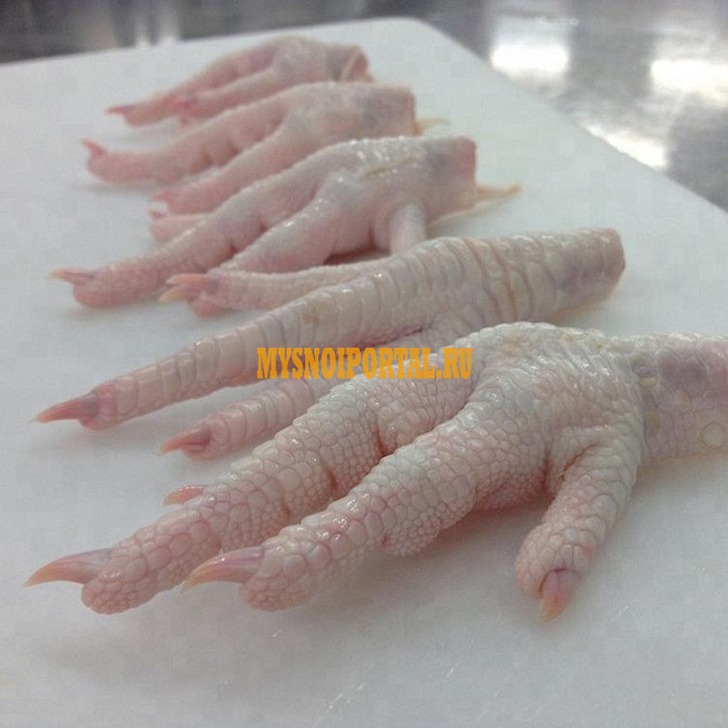 Ноги куриные зам, Sadia оптом в Буэнос-Айресе Буэнос-Айрес - изображение 1