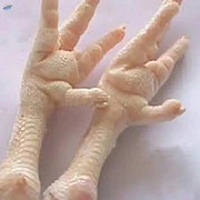 Ноги куриные зам, SADIA оптом Варзее-Гранде  доставка из г.Варзеа-Гранде