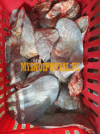 Селезенка говяжья Челябинск - изображение 1