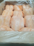 Продам мясо птицы Краснодар