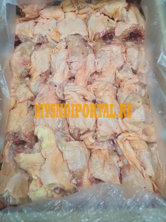 Суп набор (спинка) Краснодар - изображение 1