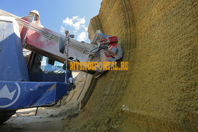 Силос, Сенаж Москва - изображение 1