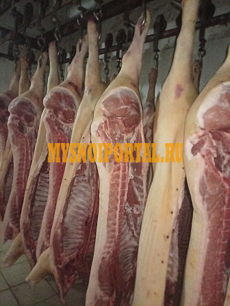 Свинина полутуши Кинель - изображение 1