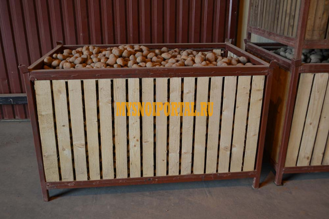 Контейнер для хранения картофеля и других корнеклубнеплодов емкостью 1000 кг Казань - изображение 1