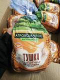 Тушка ЦБ Агрокомплекс Санкт-Петербург
