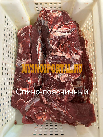 Продаю Блочная говядина Логистический центр, ГОСТ, б/к, зам, в Барнауле Барнаул - изображение 1
