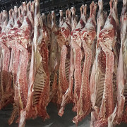 Полутуши Говяжьи коров, бычков, телят Логистический центр,  ГОСТ,  зам, в Барнауле  Барнаул
