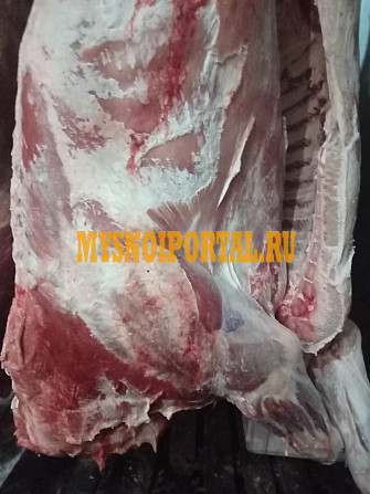 Полутуши Говяжьи коров, бычков, телят Логистический центр, ГОСТ, зам, в Барнауле Барнаул - изображение 1