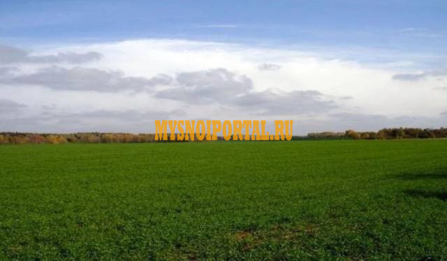 Продажа земельных участков с/х назначения 2143 га., в Лунинском р-не, Пензенской области Пенза - изображение 1