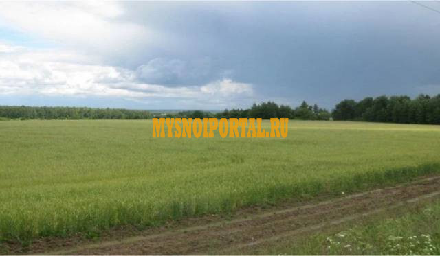 Продажа земельных участков с/х назначения 1770 га., в Красноармейском р-не, Саратовской области Саратов - изображение 1