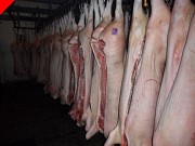 Продаю Полутуши Свиные в Вязниках  доставка из г.Вязники