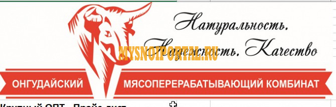 Односортная говядина ТУ, в Барнауле Барнаул - изображение 1