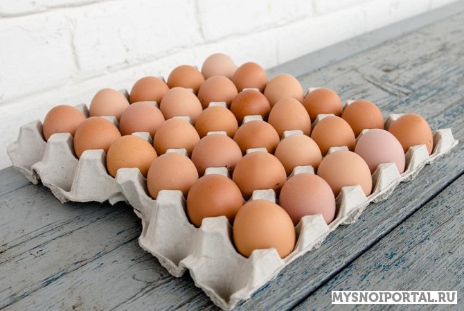Предлагаем яйцо куриное Новомышастовская - изображение 1