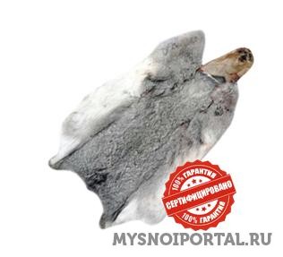 Предлагаем шкурки кроликов Пермь - изображение 1