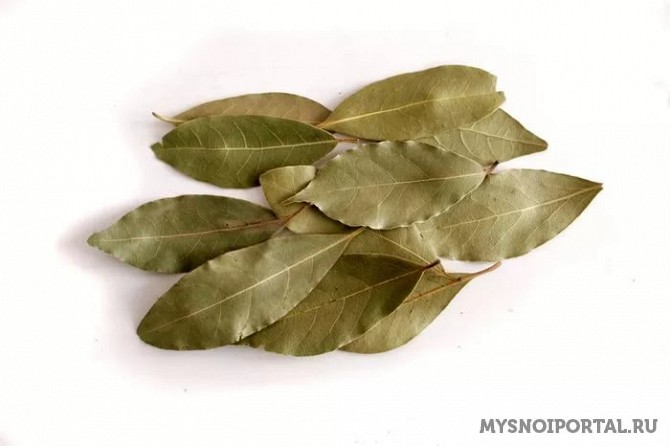 Лавровый лист Иваново - изображение 1