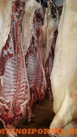 Свинина в тушах и п/тушах 3 категории Самара - изображение 1