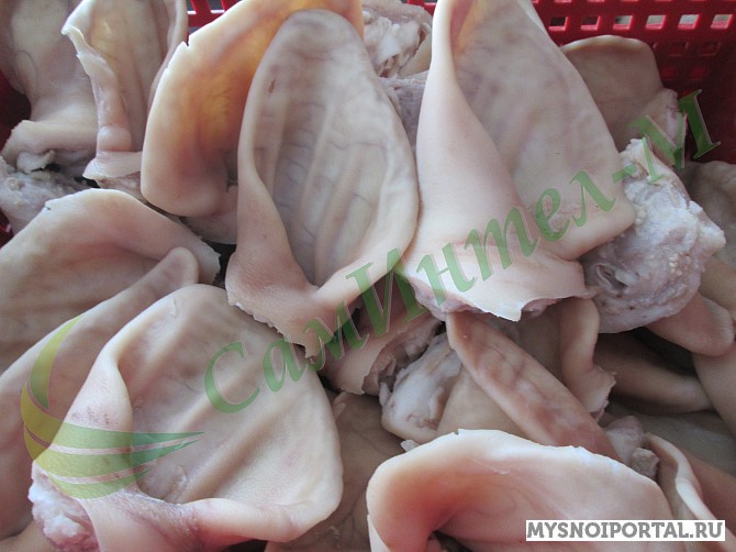 свиные уши Йошкар-Ола - изображение 1