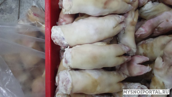 свиные ноги (передние) Йошкар-Ола - изображение 1