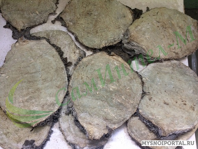 книжка говяжья Йошкар-Ола - изображение 1