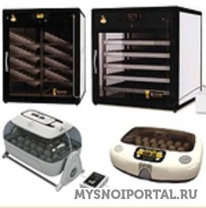 Предлагаем Инкубаторы бытовые, фермерские, промышленные Чехов - изображение 1