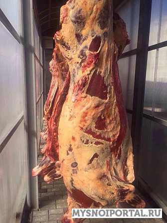 Говядина охлажденная в полутушах Ярославль - изображение 1