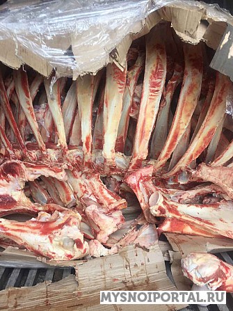 Кость крупно рогатого скота после обвалки Нижний Новгород - изображение 1