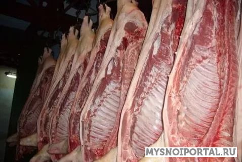 Говядина в полутушах 95+ охл. Москва - изображение 1