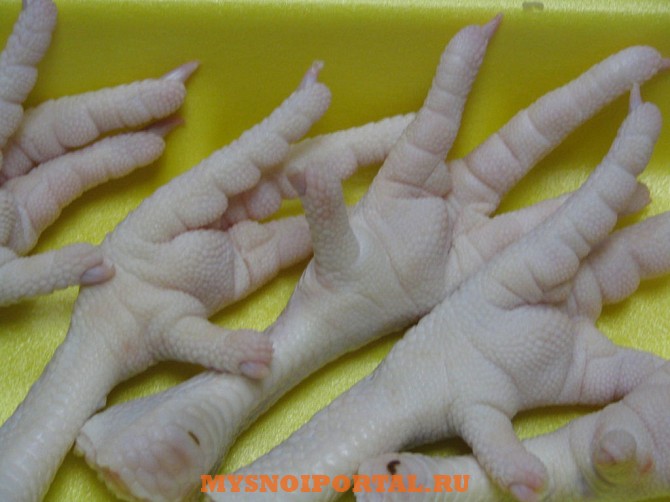 Продаем Куриные лапы крупным оптом Тверь - изображение 1