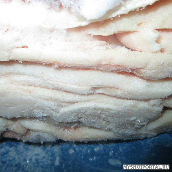 Купим шпик боковой, хребтовый от 20 т Первомайск - изображение 1