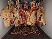 Говядина оптом от производителя ГОСТ 799-55 Казань