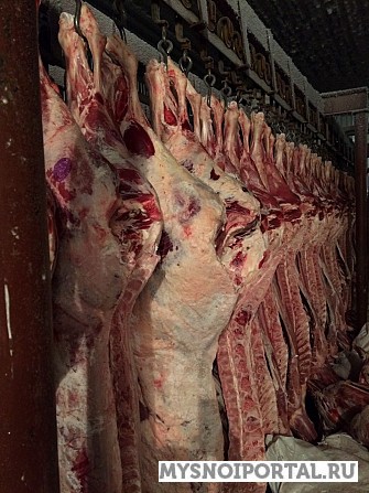 Полутуши Корова,Бык зам/охл. Санкт-Петербург - изображение 1