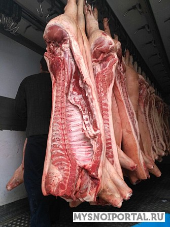 Продаю Полутуши Свиные н/к, охл, категория - I (беконная), II (мясная – молодняк) во Владимире Владимир - изображение 1