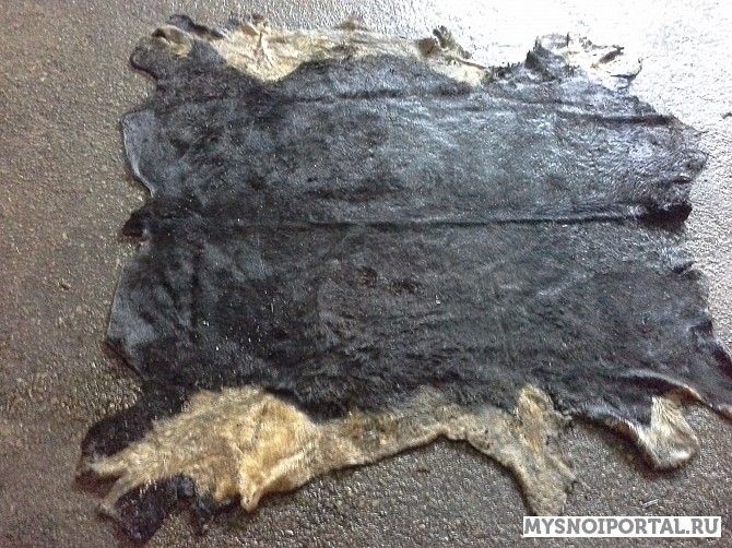 Шкуры Крс Самара - изображение 1